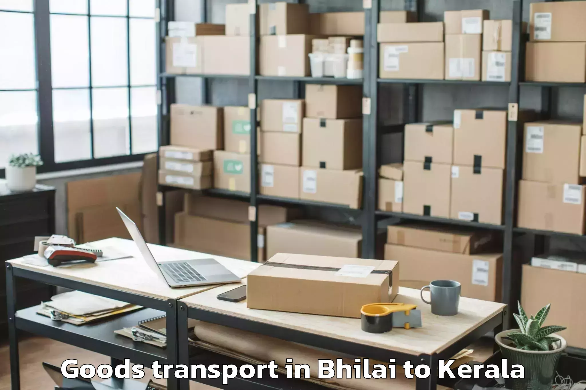 Discover Bhilai to Kunnamangalam Goods Transport